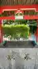 加紫久利神社の{uncategorized: "未分類", other: "その他", undefined: "問題あり", building: "その他建物", grave: "お墓", sacred_gate: "鳥居", guardian: "狛犬", statue: "像", buddha: "仏像", history: "歴史", nature: "自然", garden: "庭園", animal: "動物", pagoda: "塔", temizu: "手水舎", mountain_gate: "山門・神門", sanctuary: "本殿・本堂", subordinate: "末社・摂社", art: "芸術", scenery: "景色", jizo: "地蔵", ema: "絵馬", goshuin: "御朱印", omikuji: "おみくじ", items: "授与品その他", amulet: "お守り", goshuincho: "御朱印帳", eats: "食事", festival: "お祭り", votive_dance: "神楽", shichigosan: "七五三参", wedding: "結婚式", experience: "体験その他", initially: "初詣", around: "周辺", anti_infection: "感染症対策"}
