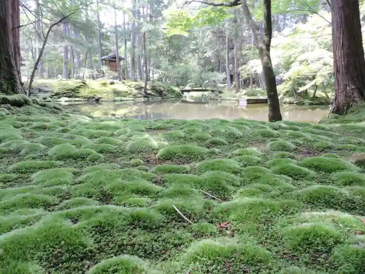 西芳寺(京都府)