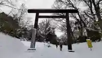 北海道神宮の鳥居