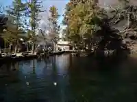 磯山弁財天の庭園