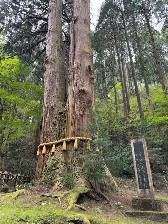 御岩神社の自然