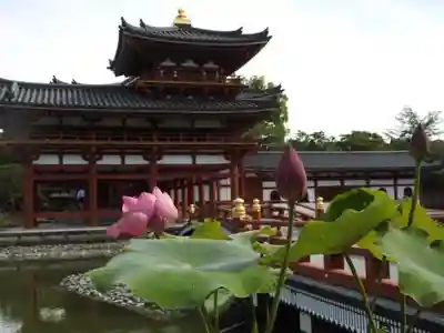 平等院のその他建物