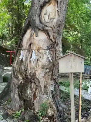 山名八幡宮(群馬県)