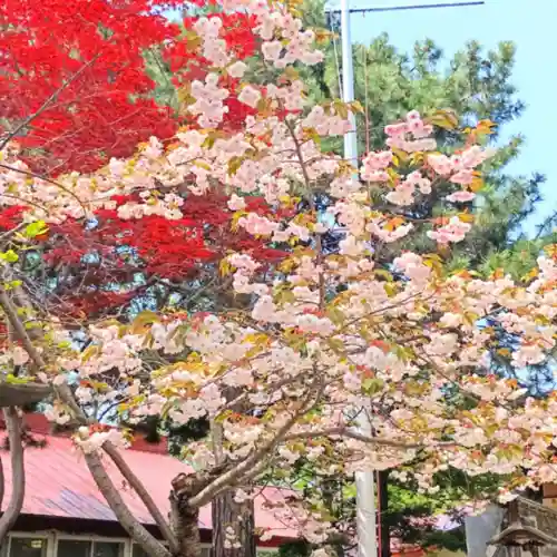彌彦神社　(伊夜日子神社)の自然