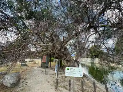 廣島護國神社(広島県)