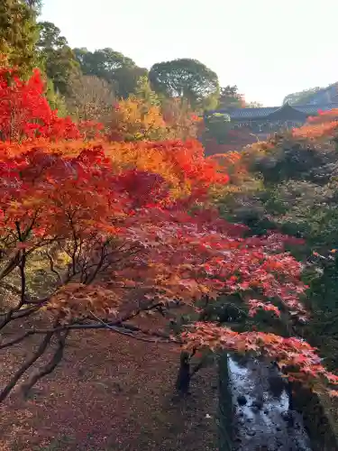 東福禅寺（東福寺）(京都府)
