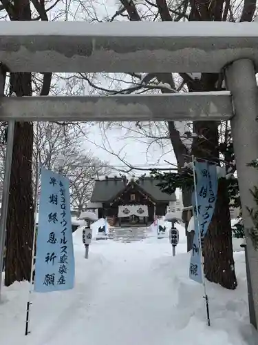 札幌諏訪神社の鳥居