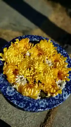 埼玉厄除け開運大師・龍泉寺（切り絵御朱印発祥の寺）(埼玉県)