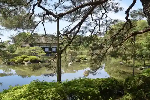 平安神宮の庭園