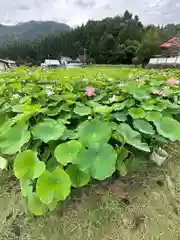 稲泉寺(長野県)