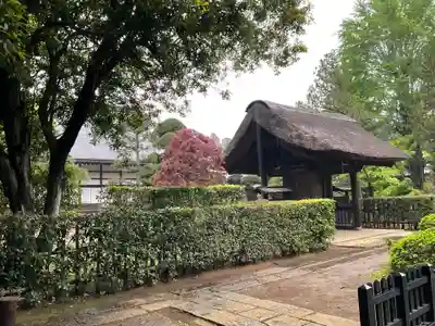 平林寺(埼玉県)