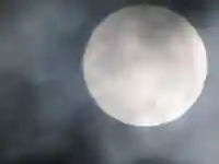 總社 和田八幡宮(福井県)