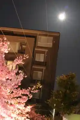 桜神宮(東京都)