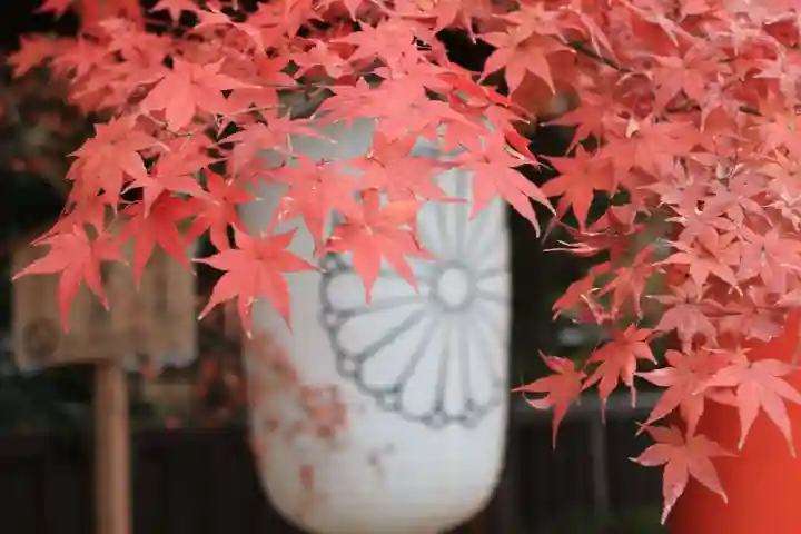 賀茂御祖神社(下鴨神社)のその他建物