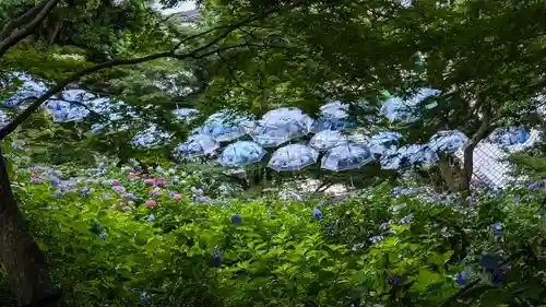 柳谷観音　楊谷寺(京都府)