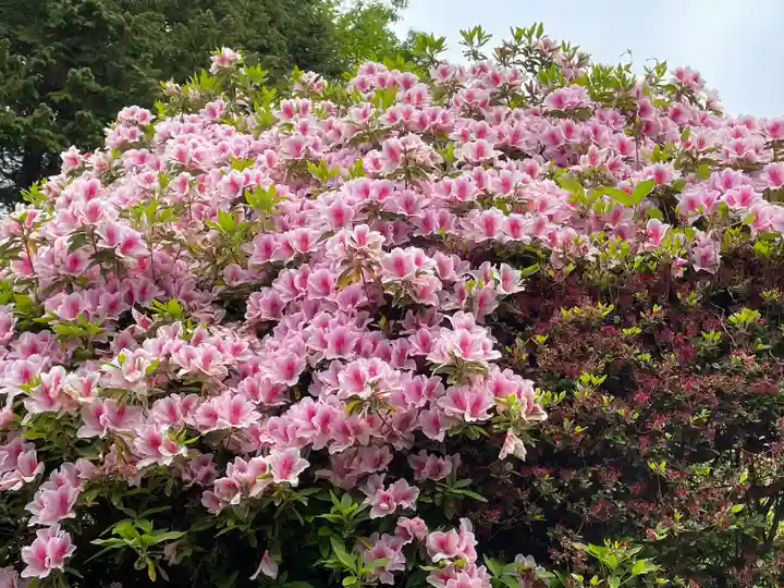 朝日寺(岡山県)