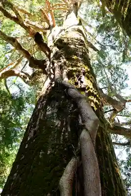 河内神社(高知県)