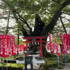 秩父今宮神社(埼玉県)