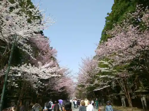 北海道神宮の景色