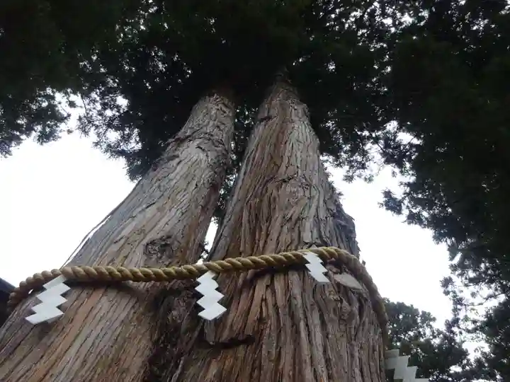 高司神社〜むすびの神の鎮まる社〜の自然