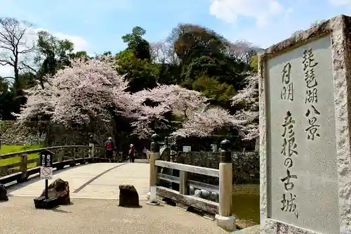滋賀県護国神社(滋賀県)