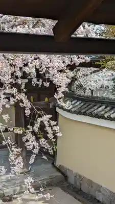 妙顯寺（妙顕寺）(京都府)