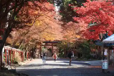 日吉大社の鳥居