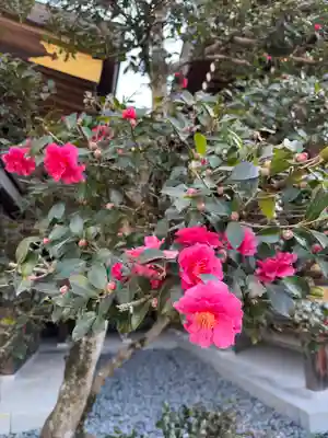 大神神社(奈良県)