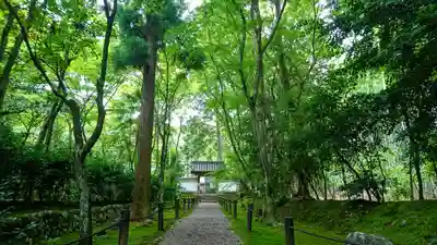 地蔵院(京都府)