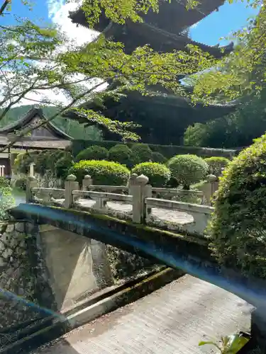 園城寺（三井寺）の建物その他