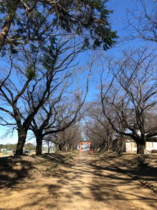 東蕗田天満社の自然
