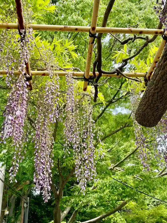 日吉神社(東京都)