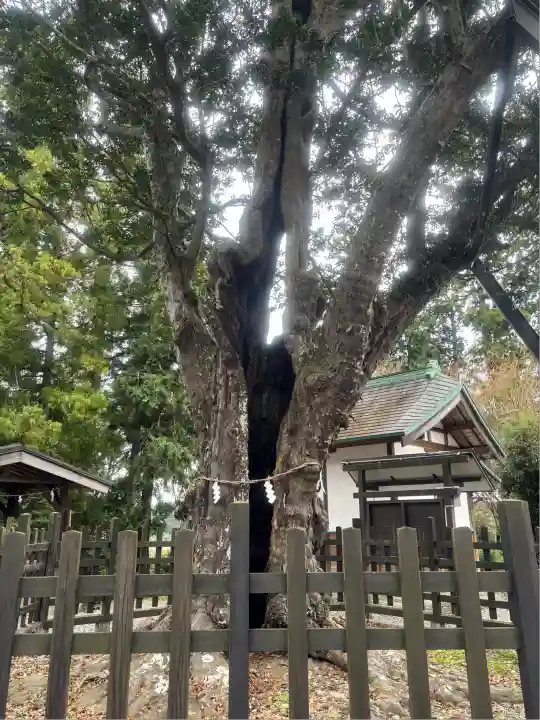 天宮神社(静岡県)