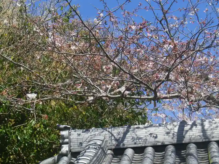 浄光明寺の自然