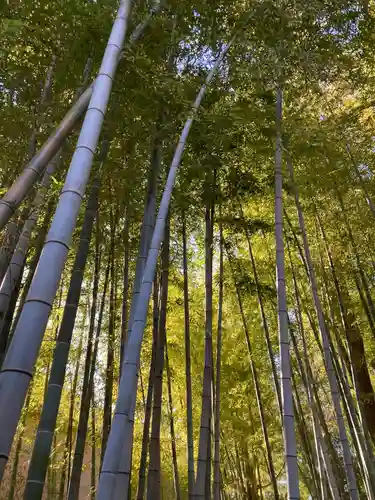 妙福寺(東京都)