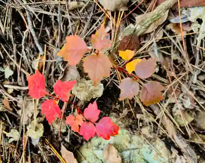 蚊里田八幡宮(長野県)