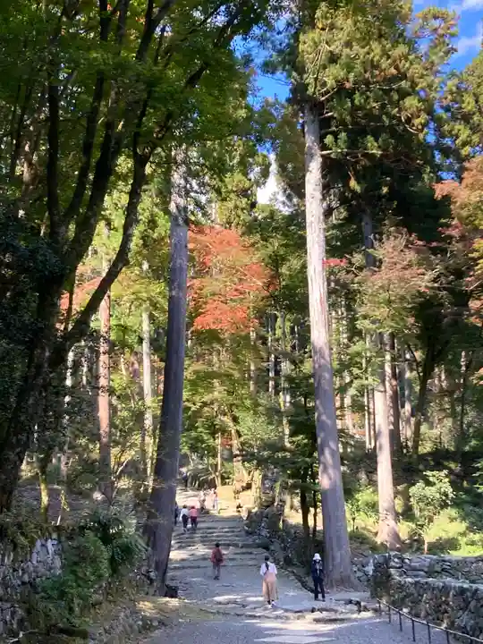 高山寺(京都府)
