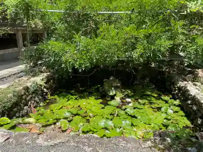 明石寺(愛媛県)