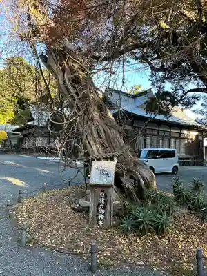 伊古奈比咩命神社(静岡県)
