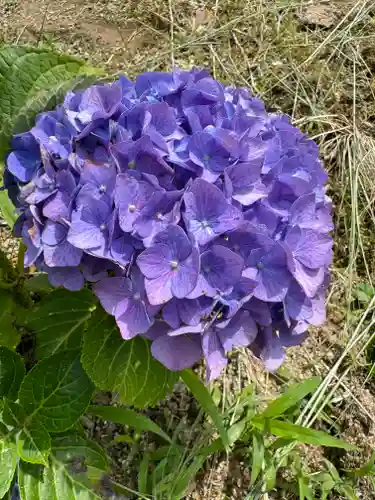 熊野福藏神社(福島県)