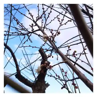 岐阜稲荷山本社(岐阜県)