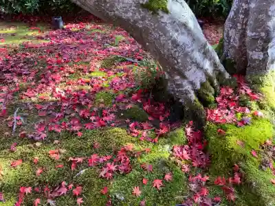 宝厳院(京都府)