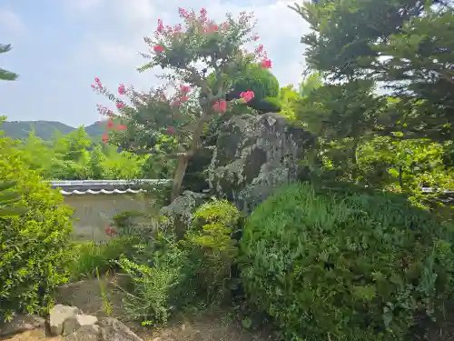 本福寺(兵庫県)