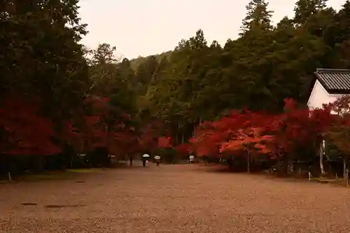 神護寺(京都府)