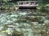 根道神社(岐阜県)