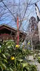 粟田神社の自然