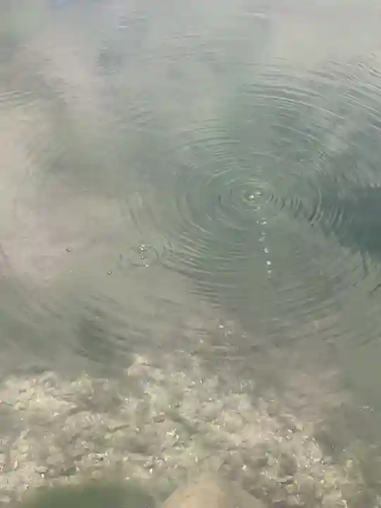 甘南美寺茶所・ハリヨ公園(岐阜県)
