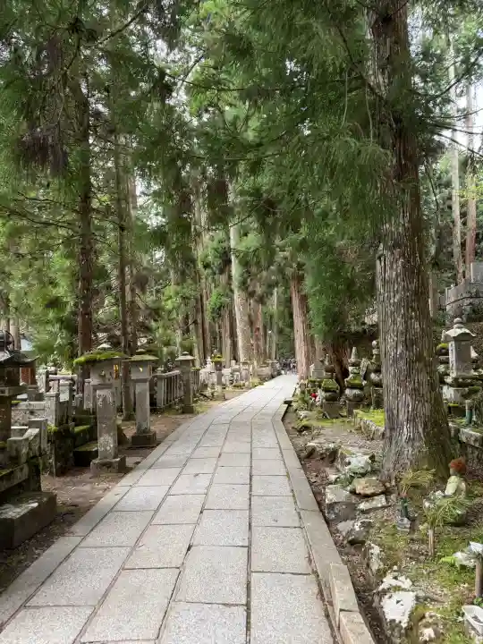 高野山金剛峯寺奥の院の{uncategorized: "未分類", other: "その他", undefined: "問題あり", building: "その他建物", grave: "お墓", sacred_gate: "鳥居", guardian: "狛犬", statue: "像", buddha: "仏像", history: "歴史", nature: "自然", garden: "庭園", animal: "動物", pagoda: "塔", temizu: "手水舎", mountain_gate: "山門・神門", sanctuary: "本殿・本堂", subordinate: "末社・摂社", art: "芸術", scenery: "景色", jizo: "地蔵", ema: "絵馬", goshuin: "御朱印", omikuji: "おみくじ", items: "授与品その他", amulet: "お守り", goshuincho: "御朱印帳", eats: "食事", festival: "お祭り", votive_dance: "神楽", shichigosan: "七五三参", wedding: "結婚式", experience: "体験その他", initially: "初詣", around: "周辺", anti_infection: "感染症対策"}