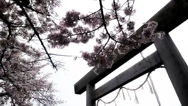 神明社(国府宮神明社)の鳥居