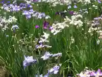 護国寺(山口県)